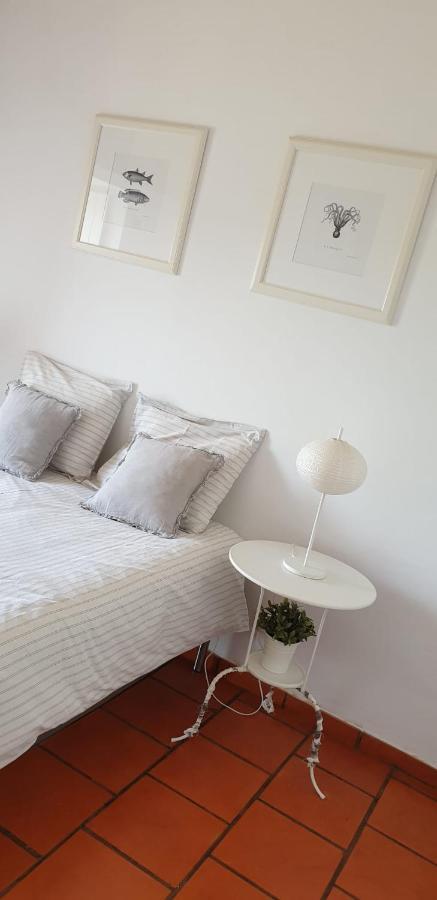 Comporta House Βίλα Εξωτερικό φωτογραφία